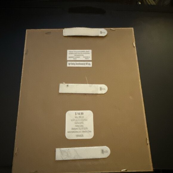 Hobby Lobby Botanical Wood Framed Wall Art Print Lemon Farmhouse 11x9x1 inches - Picture 3 of 7